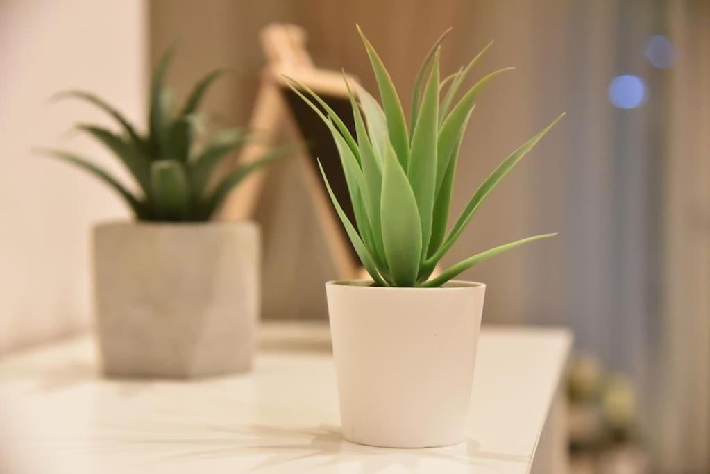 Tiny Treasure Apartment 아테네 외부 사진